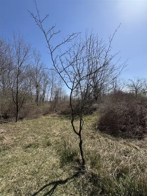 Other - 3787 Buzzell, Gladwin, MI 48624 photo 24 of 44