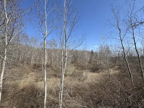 Other - 3787 Buzzell, Gladwin, MI 48624 photo 22 of 44