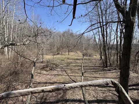 Other - 3787 Buzzell, Gladwin, MI 48624 photo 14 of 44