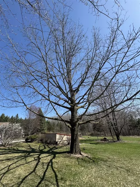 Exterior - 3787 Buzzell, Gladwin, MI 48624 photo 30 of 49