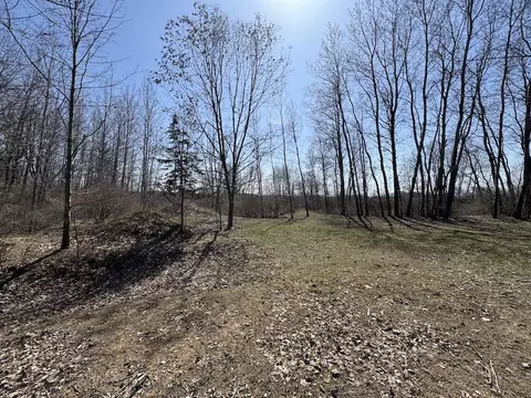 Exterior - 3787 Buzzell, Gladwin, MI 48624 photo 33 of 49