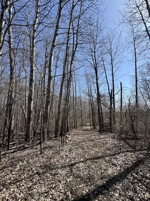 Other - 3787 Buzzell, Gladwin, MI 48624 photo 12 of 44