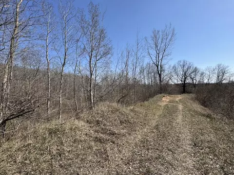 Other - 3787 Buzzell, Gladwin, MI 48624 photo 23 of 44