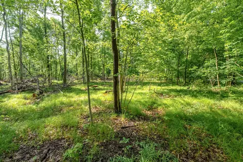 10703 E Shr, Portage, MI 49002 photo 5