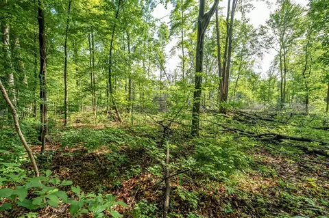 10703 E Shr, Portage, MI 49002 photo 2