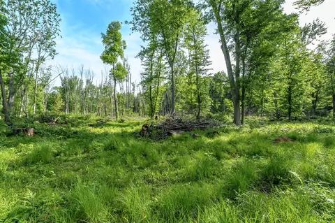 10703 E Shr, Portage, MI 49002 photo 4