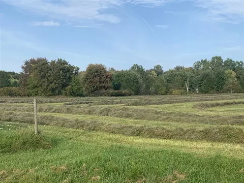 Exterior - 5910 S Corey, Perry, MI 48872 photo 18 of 19