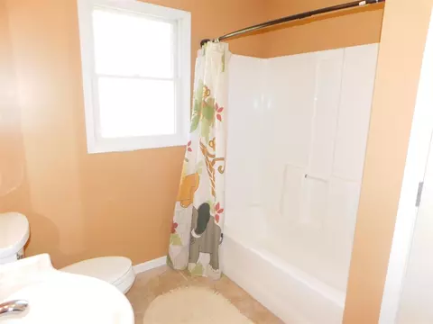 Bath - 309 E Delaware, Decatur, MI 49045 photo 4 of 4