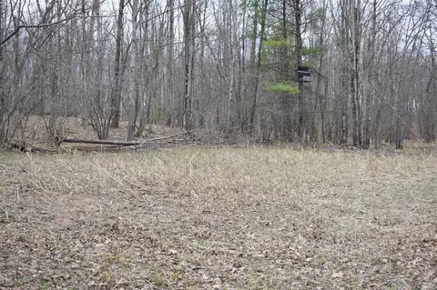 6590 Deer Path, Chase, MI 49623 photo 29