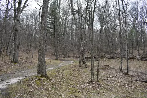 6590 Deer Path, Chase, MI 49623 photo 27