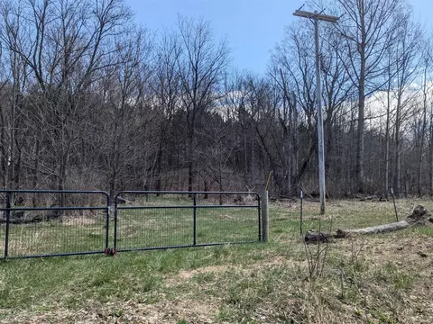 V/l Butwell 1, Bear Lake, MI 49614