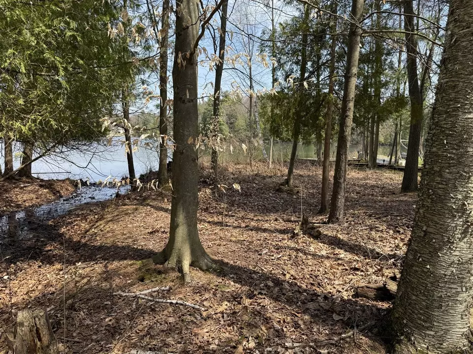 Exterior - 8982 W School Section Lk, Mecosta, MI 49332 photo 12 of 12