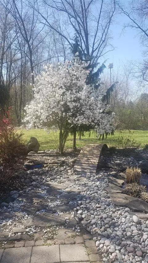 12151 Bunton, Willis, MI 48191 photo 30