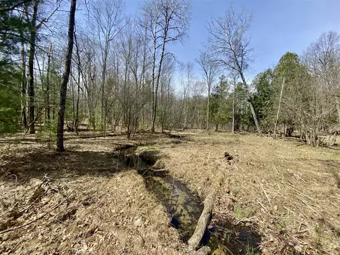 9 75 Acres Snyder Rd, Wellston, MI 49689