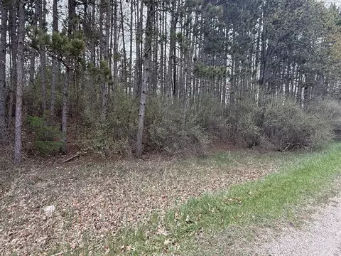 1115 El Camino Grande, Lake Isabella, MI 48893