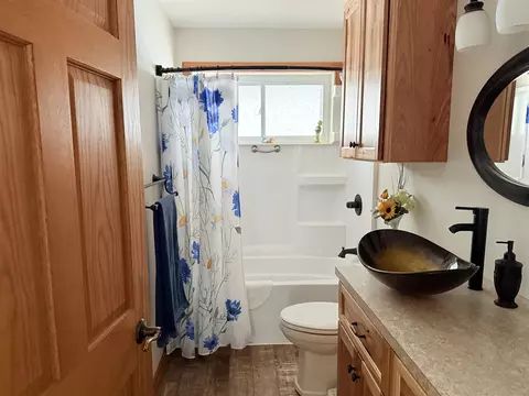 Bath - 3909 W W Pne, Bitely, MI 49309 photo 3 of 5