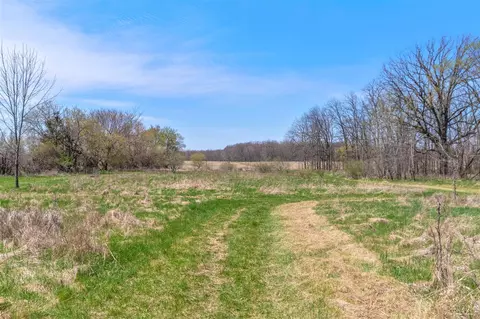 10880 S Francis, Dewitt, MI 48820 photo 35