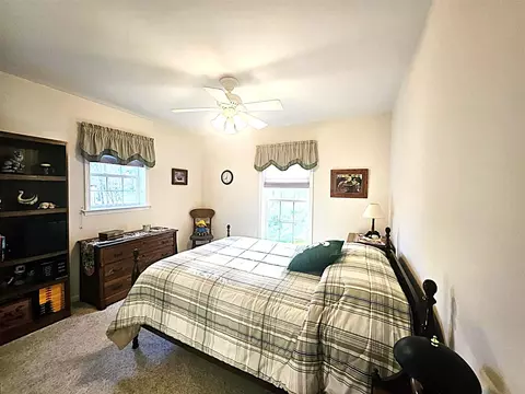 9290 Reynolds, Bellevue, MI 49021 photo 22