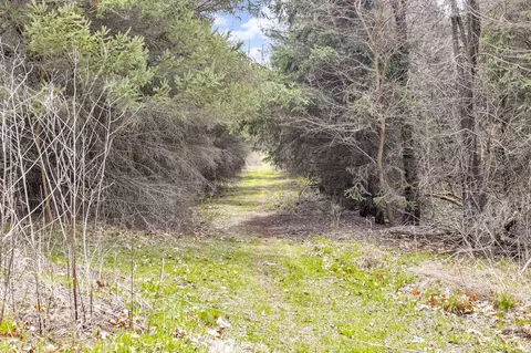 Other - 9875 Rountree, Hanover, MI 49241 photo 4 of 9