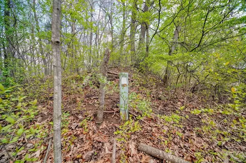 3 Parcels Milo Drbrooklyn Rd, Jackson, MI 49201 photo 17