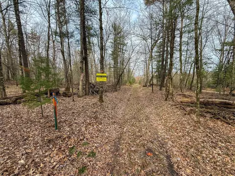 1234 Cottonwood, Howard City, MI 49329