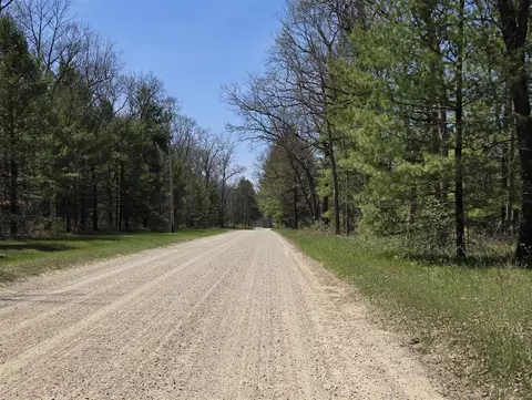 V/l W Coolidge, Bitely, MI 49309 photo 3