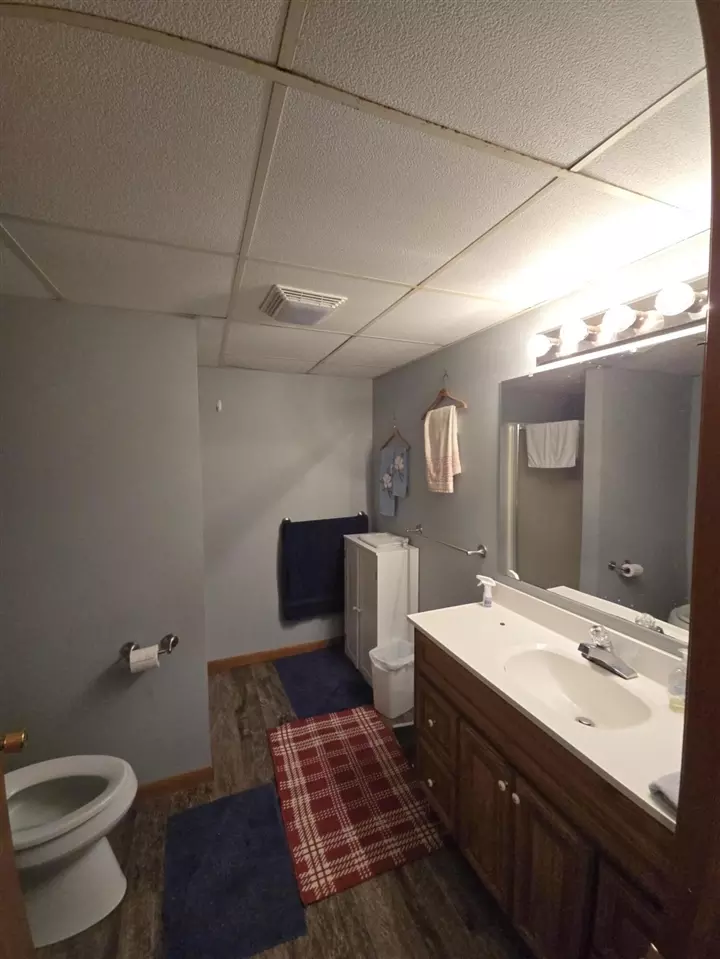 Bath - 613 Thomas, Union City, MI 49094 photo 5 of 7