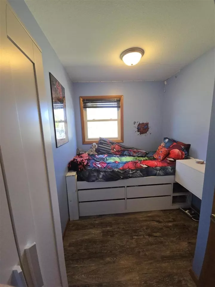 Bedroom - 613 Thomas, Union City, MI 49094 photo 4 of 5