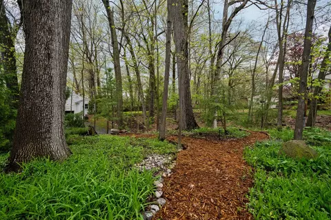 Exterior - 3140 Dolph, Ann Arbor, MI 48103 photo 10 of 15
