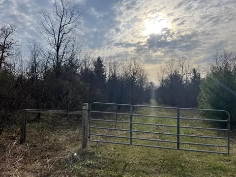 11500 N Willow, Bitely, MI 49309