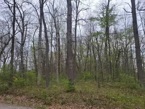 0 Cavan, Onsted, MI 49265 photo 3