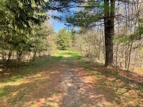 V/l N Benson, Fountain, MI 49410