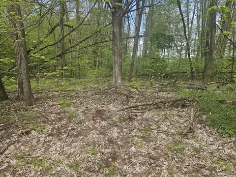 Parkway, Three Rivers, MI 49093