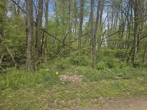Parkway, Three Rivers, MI 49093 photo 2