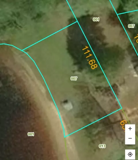 6581 N Evergreen, White Cloud, MI 49349 photo 42