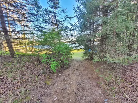 6581 N Evergreen, White Cloud, MI 49349 photo 37