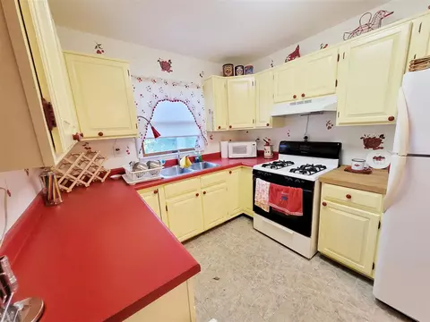 6581 N Evergreen, White Cloud, MI 49349 photo 18
