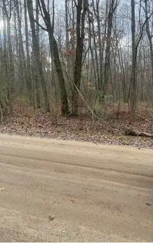 lot2 Wicker, Stanton, MI 48888