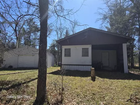 8656 N Dog Patch, Irons, MI 49644