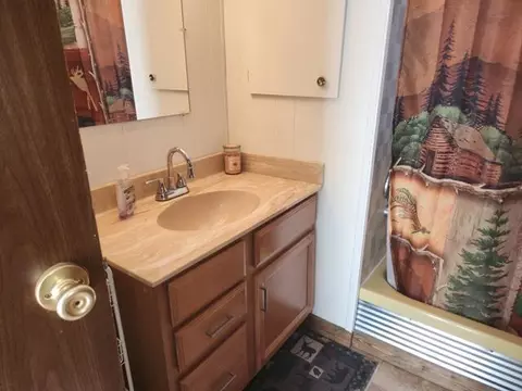 1631 W Lone Pne, Baldwin, MI 49304 photo 11