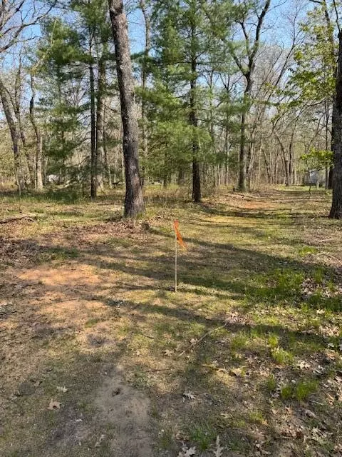 Other - 8038 W Hemlock, Baldwin, MI 49304 photo 2 of 6