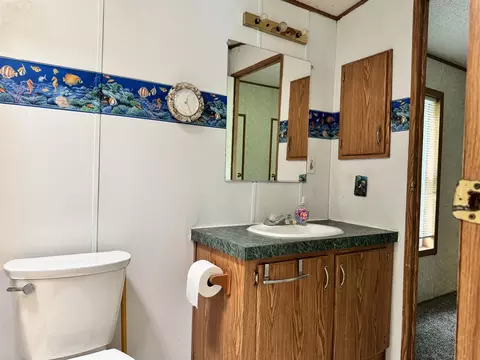Bath - 11126 Opel Dr, Jerome, MI 49249 photo 1 of 2