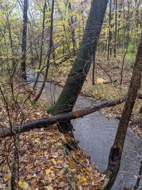 View/Area - 10139 Augusta Vly, Ada, MI 49301 photo 1 of 1