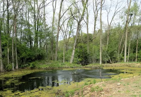 Other - 3370 Henry, Jackson, MI 49201 photo 21 of 22