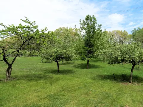 Exterior - 3370 Henry, Jackson, MI 49201 photo 14 of 21
