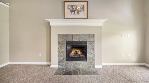 Living - 4607 Spring Mtn, Brighton, MI 48116 photo 3 of 5