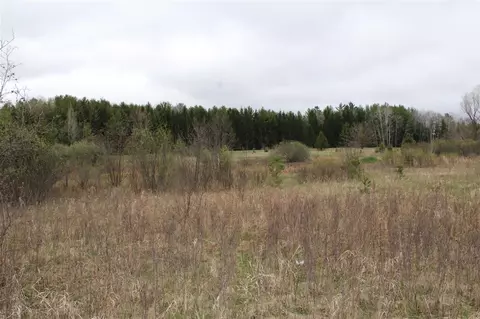0 Vl Rose City Rd, Lupton, MI 48635 photo 28