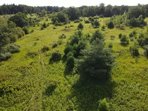 0 Vl Rose City Rd, Lupton, MI 48635 photo 9
