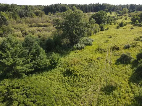 0 Vl Rose City Rd, Lupton, MI 48635 photo 8