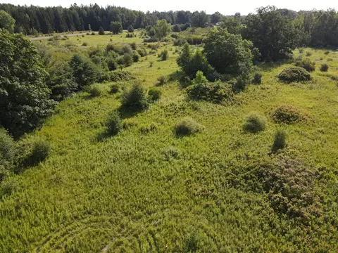 0 Vl Rose City Rd, Lupton, MI 48635 photo 19